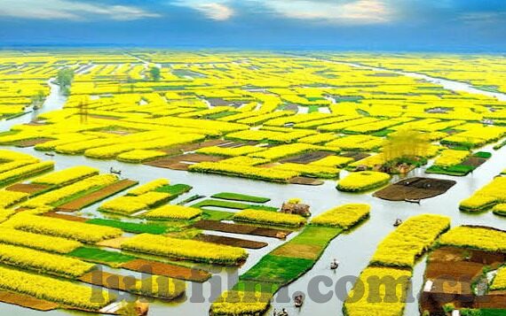 果冻传媒有限公司在线-探索果冻传媒有限公司的在线影响力与未来趋势