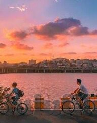 麻豆91av在线-麻豆91AV的误解与真相辨析