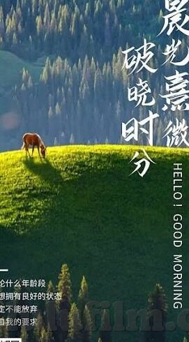 糖心vlog官网下载入口-糖心Vlog官网下载新体验，解锁内容创作的无限可能