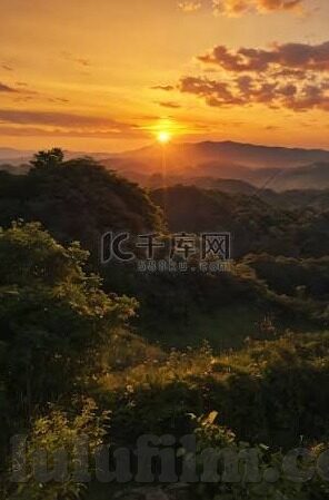 最新在线乌鸦传媒果冻-最新在线乌鸦传媒果冻，数字时代的创意与娱乐新宠